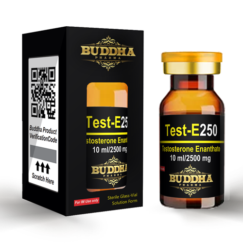 buddha pharma testosteron enanthate 250 mg 10 ml